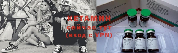 сатива Абинск