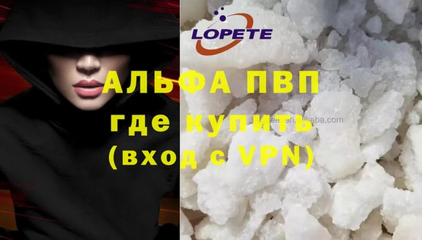 сатива Абинск