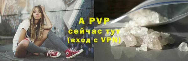 сатива Абинск